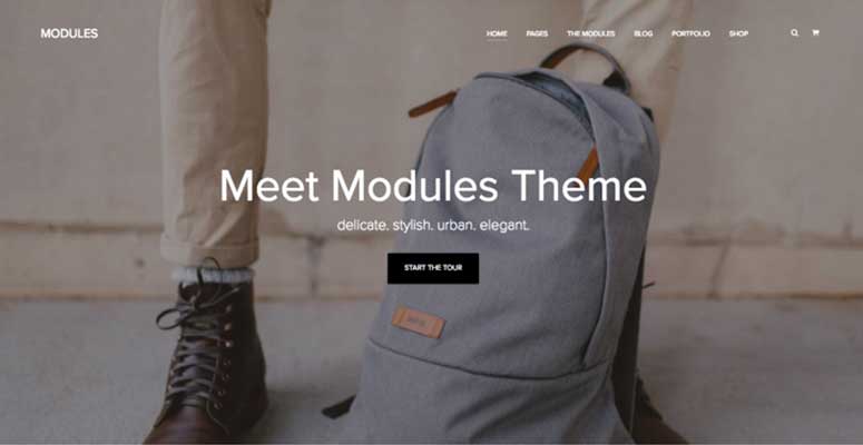 Modules - IsItWP - Free WordPress Theme Detector Modules