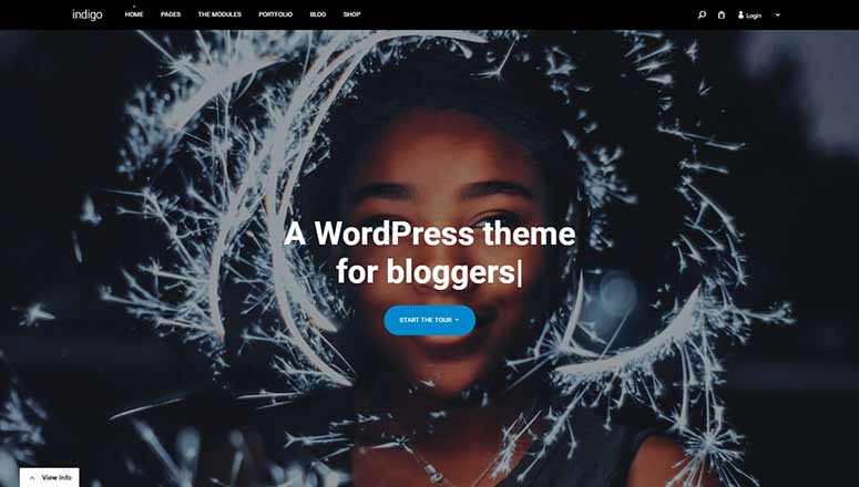 Indigo - IsItWP - Free WordPress Theme Detector Indigo